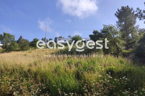 Helårsgrund i Pombal, Leiria, Pombal - € 95.000 | Ref: LE76829LE - foto 2