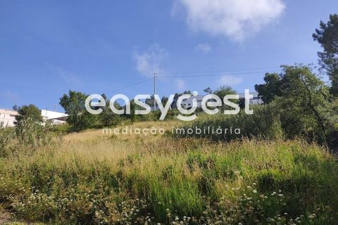 Helårsgrund i Pombal, Leiria, Pombal - € 95.000 | Ref: LE76829LE - foto 3