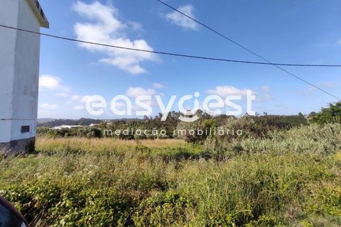 Helårsgrund i Pombal, Leiria, Pombal - € 95.000 | Ref: LE76829LE - foto 5