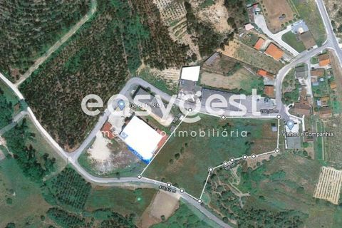 Helårsgrund i Pombal, Leiria, Pombal - € 95.000 | Ref: LE76829LE - foto 6