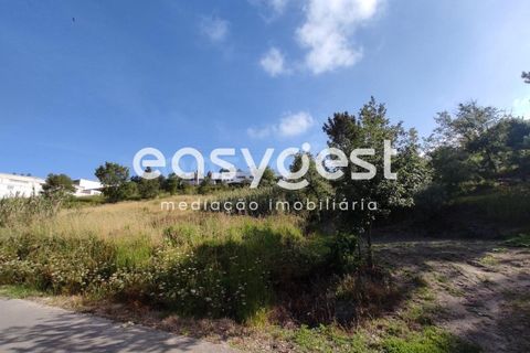 Helårsgrund i Pombal, Leiria, Pombal - € 95.000 | Ref: LE76829LE - foto 9