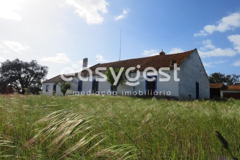 Herregård i Alvalade, Setubal, Alvalade - € 1 570 000 | Ref: BJ75043AJ - foto 2