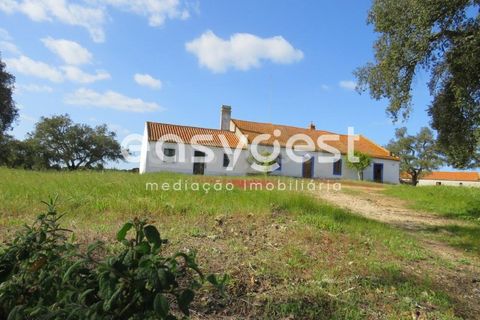 Herregård i Alvalade, Setubal, Alvalade - € 1 570 000 | Ref: BJ75043AJ - foto 4