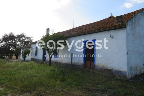 Herregård i Alvalade, Setubal, Alvalade - € 1 570 000 | Ref: BJ75043AJ - foto 6