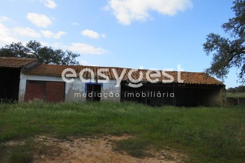 Herregård i Alvalade, Setubal, Alvalade - € 1 570 000 | Ref: BJ75043AJ - foto 7