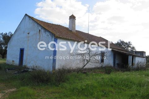 Herregård i Alvalade, Setubal, Alvalade - € 1 570 000 | Ref: BJ75043AJ - foto 8