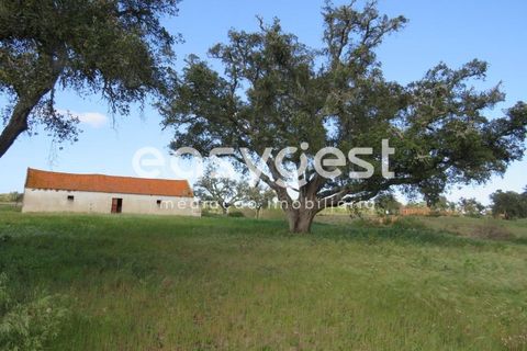 Herregård i Alvalade, Setubal, Alvalade - € 1 570 000 | Ref: BJ75043AJ - foto 9