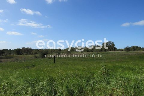 Herregård i Alvalade, Setubal, Alvalade - € 1 570 000 | Ref: BJ75043AJ - foto 11