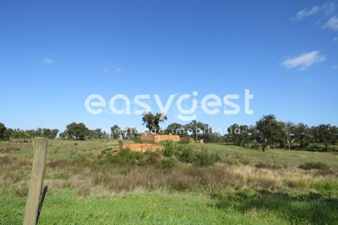 Herregård i Alvalade, Setubal, Alvalade - € 1 570 000 | Ref: BJ75043AJ - foto 13