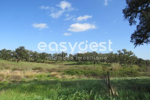 Herregård i Alvalade, Setubal, Alvalade - € 1 570 000 | Ref: BJ75043AJ - foto 14
