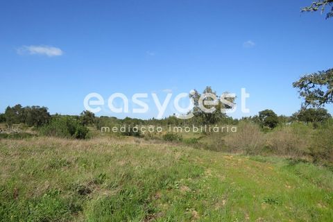 Herregård i Alvalade, Setubal, Alvalade - € 1 570 000 | Ref: BJ75043AJ - foto 15