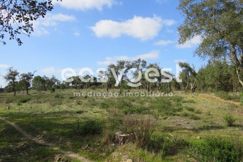 Herregård i Alvalade, Setubal, Alvalade - € 1 570 000 | Ref: BJ75043AJ - foto 16