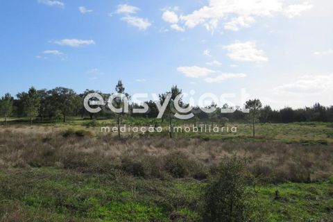 Herregård i Alvalade, Setubal, Alvalade - € 1 570 000 | Ref: BJ75043AJ - foto 19