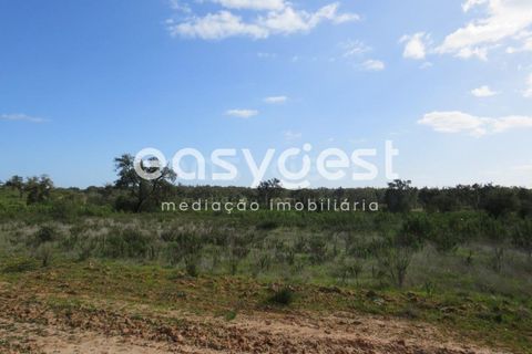 Herregård i Alvalade, Setubal, Alvalade - € 1 570 000 | Ref: BJ75043AJ - foto 21