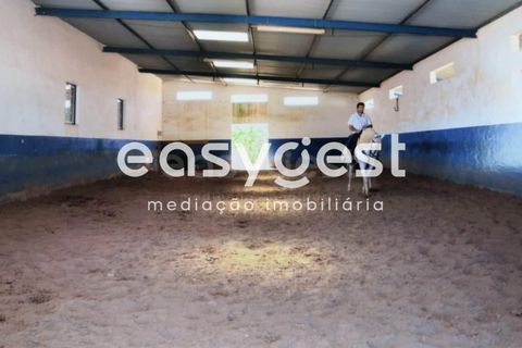 Masia a Moura, Beja, Moura - € 435.000 | Ref: BJ71259 - foto 7