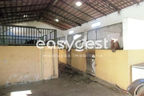 Masia a Moura, Beja, Moura - € 435.000 | Ref: BJ71259 - foto 11