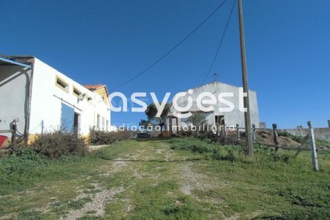 Masia a Moura, Beja, Moura - € 435.000 | Ref: BJ71259 - foto 23
