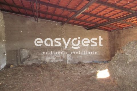 Masia a Moura, Beja, Moura - € 435.000 | Ref: BJ71259 - foto 26