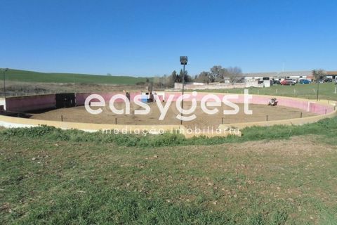 Masia a Moura, Beja, Moura - € 435.000 | Ref: BJ71259 - foto 27