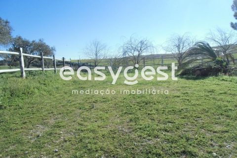 Masia a Moura, Beja, Moura - € 435.000 | Ref: BJ71259 - foto 30