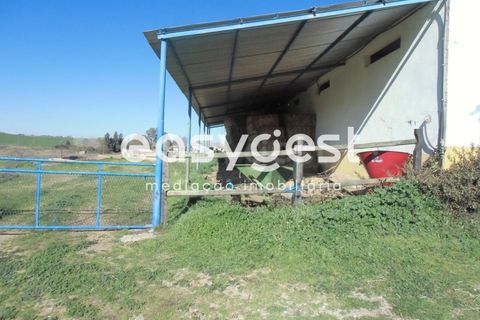 Masia a Moura, Beja, Moura - € 435.000 | Ref: BJ71259 - foto 31