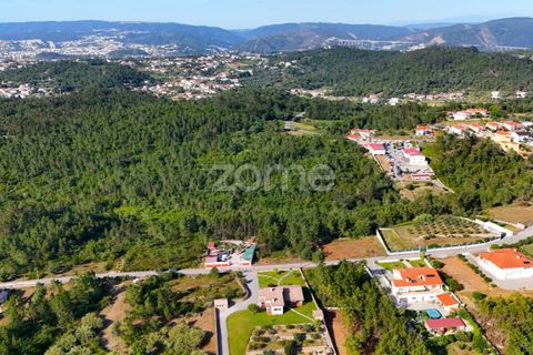 Terra a Assafarge e Antanhol, Coimbra, Assafarge e Antanhol - € 68.000 | Ref: ZMPT589969 - foto 9