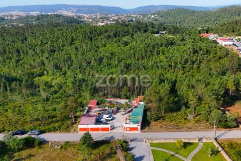 Terra a Assafarge e Antanhol, Coimbra, Assafarge e Antanhol - € 68.000 | Ref: ZMPT589969 - foto 12