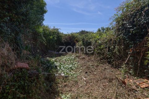 Villa i Gois, Coimbra, Gois - € 58.000 | Ref: ZMPT590088 - foto 29