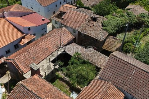 Villa i Gois, Coimbra, Gois - € 58.000 | Ref: ZMPT590088 - foto 34
