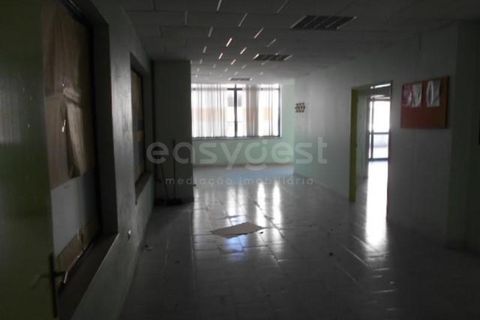 Erhvervsejendom i Proenca-a-Nova, Castelo Branco, Proenca-a-Nova - € 45.000 | Ref: CB61509MA - foto 14