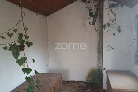 Villa a Anca, Coimbra, Anca - € 52.200 | Ref: ZMPT589915 - foto 14