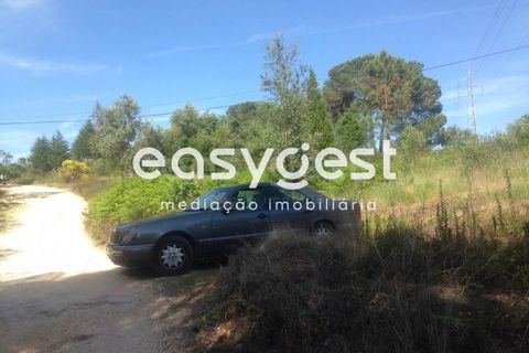 Terra a Assafarge e Antanhol, Coimbra, Assafarge e Antanhol - € 300.000 | Ref: RR59192 - foto 2