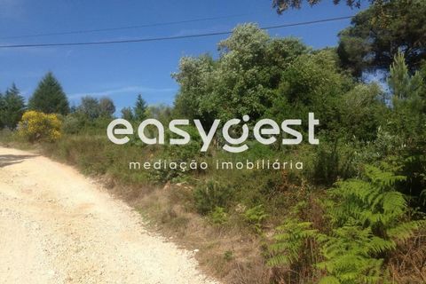 Terra a Assafarge e Antanhol, Coimbra, Assafarge e Antanhol - € 300.000 | Ref: RR59192 - foto 3