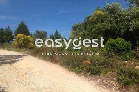 Terra a Assafarge e Antanhol, Coimbra, Assafarge e Antanhol - € 300.000 | Ref: RR59192 - foto 4