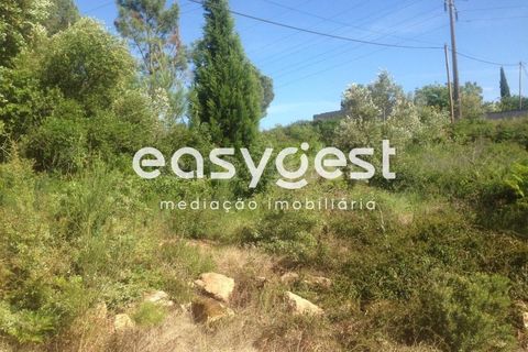 Terra a Assafarge e Antanhol, Coimbra, Assafarge e Antanhol - € 300.000 | Ref: RR59192 - foto 5