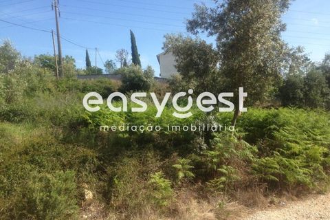 Terra a Assafarge e Antanhol, Coimbra, Assafarge e Antanhol - € 300.000 | Ref: RR59192 - foto 6