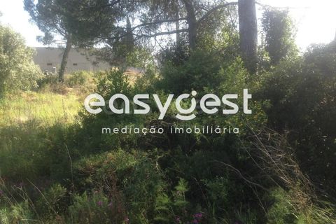 Terra a Assafarge e Antanhol, Coimbra, Assafarge e Antanhol - € 300.000 | Ref: RR59192 - foto 7