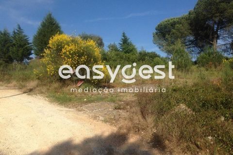 Terra a Assafarge e Antanhol, Coimbra, Assafarge e Antanhol - € 300.000 | Ref: RR59192 - foto 9