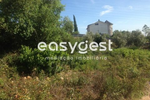 Terra a Assafarge e Antanhol, Coimbra, Assafarge e Antanhol - € 300.000 | Ref: RR59192 - foto 10