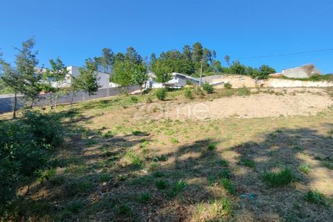 Helårsgrund i Viseu, Viseu, Viseu - € 60.000 | Ref: ZMPT568152 - foto 7