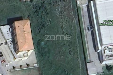 Terra a Moimenta da Beira, Viseu, Moimenta da Beira - € 180.000 | Ref: ZMPT577579 - foto 2