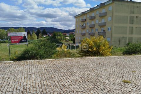 Terra a Moimenta da Beira, Viseu, Moimenta da Beira - € 180.000 | Ref: ZMPT577579 - foto 9
