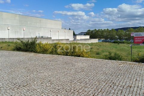 Terra a Moimenta da Beira, Viseu, Moimenta da Beira - € 180.000 | Ref: ZMPT577579 - foto 10