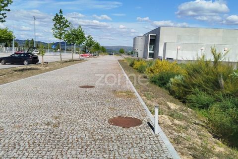 Terra a Moimenta da Beira, Viseu, Moimenta da Beira - € 180.000 | Ref: ZMPT577579 - foto 16