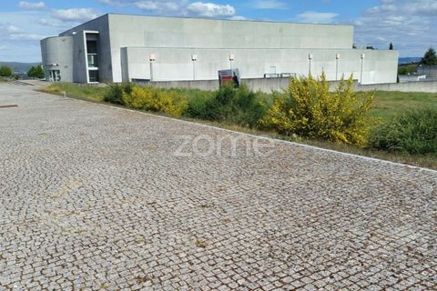 Terra a Moimenta da Beira, Viseu, Moimenta da Beira - € 180.000 | Ref: ZMPT577579 - foto 18