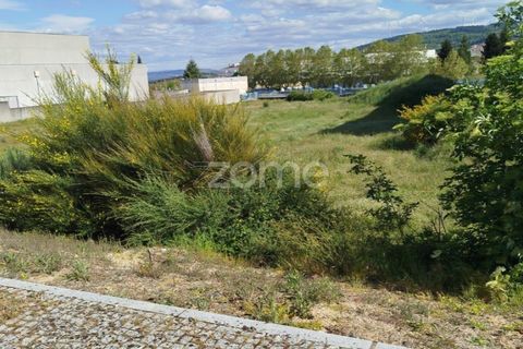 Terra a Moimenta da Beira, Viseu, Moimenta da Beira - € 180.000 | Ref: ZMPT577579 - foto 21