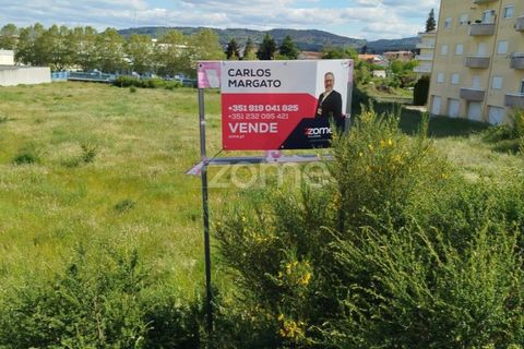 Terra a Moimenta da Beira, Viseu, Moimenta da Beira - € 180.000 | Ref: ZMPT577579 - foto 22
