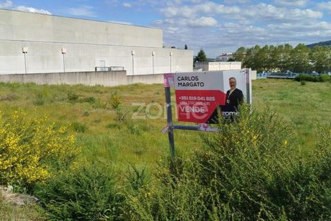 Terra a Moimenta da Beira, Viseu, Moimenta da Beira - € 180.000 | Ref: ZMPT577579 - foto 24