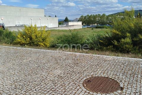Terra a Moimenta da Beira, Viseu, Moimenta da Beira - € 180.000 | Ref: ZMPT577579 - foto 25