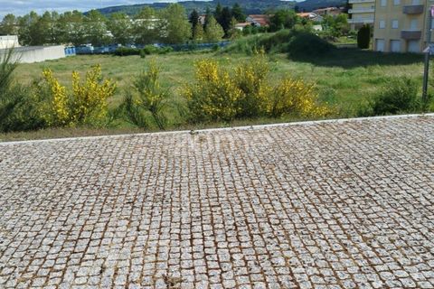 Terra a Moimenta da Beira, Viseu, Moimenta da Beira - € 180.000 | Ref: ZMPT577579 - foto 26